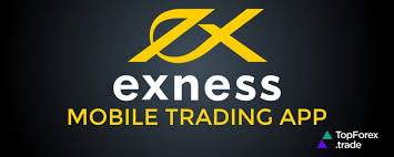 The Comprehensive Guide to Exness Forex Broker Trading Opportunities and Benefits
